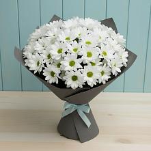 Букет цветов из:  Хризантемы #REPLACE_PRED# Самусе