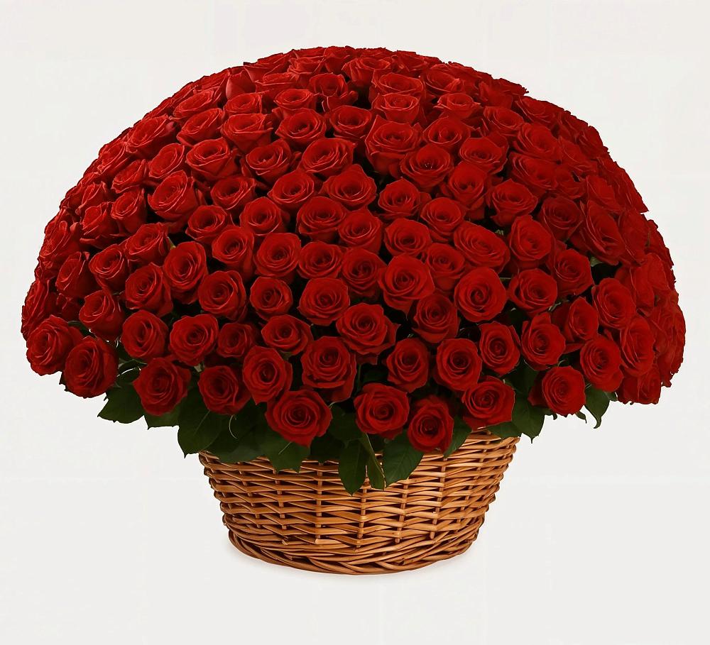 Премиум букет из: Розы в Самусе