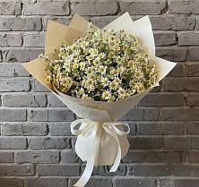 Букет цветов из:  Ромашки #REPLACE_PRED# Самусе